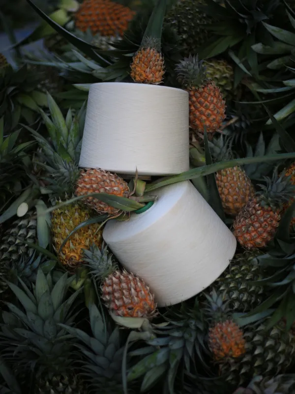 sợi dứa Ananas